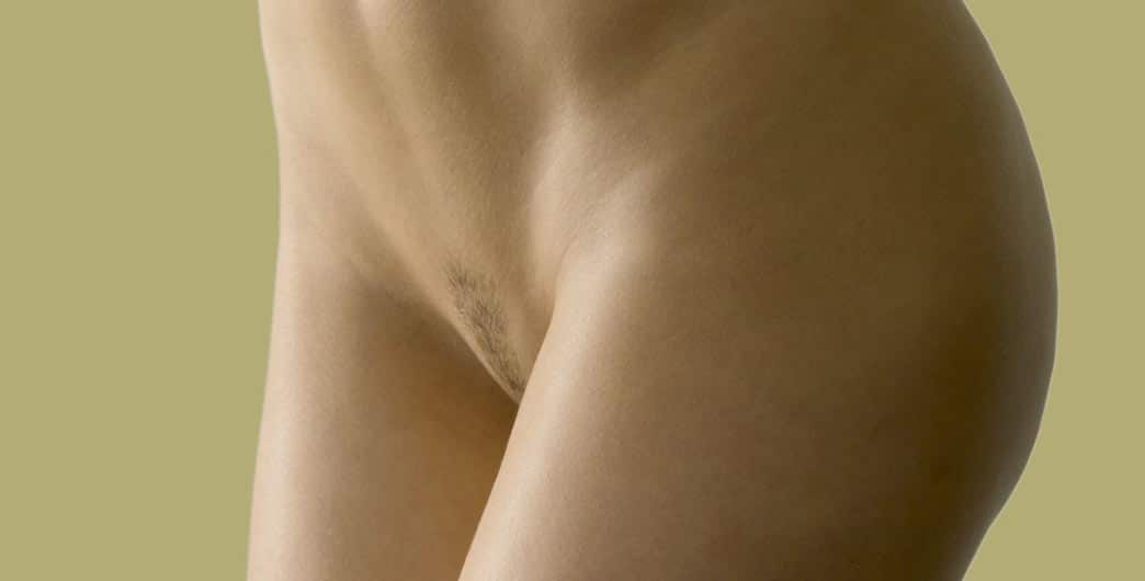 female pubic area